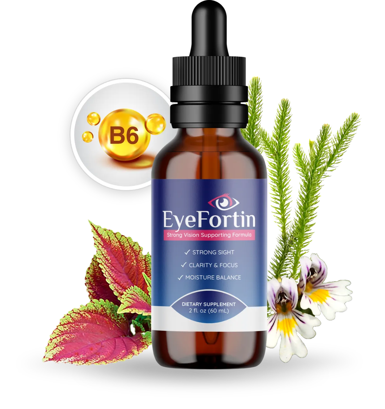 EyeFortin liquid dropper bottle for vision support